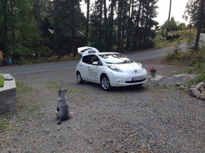 IMG_4364