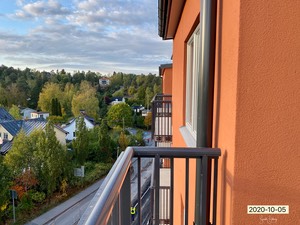 IMG_7342-1