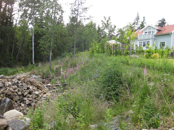 Kristinavgen juli 2009 10