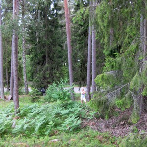 Kristinavgen juli 2009 21