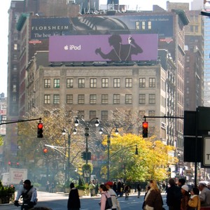 ny079