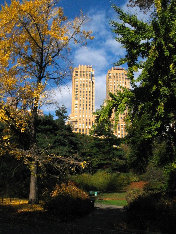 ny110