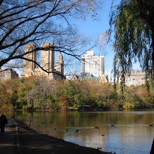 ny187