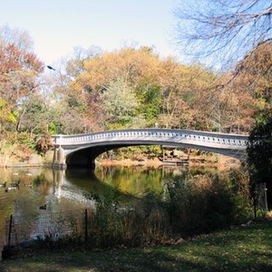 ny188