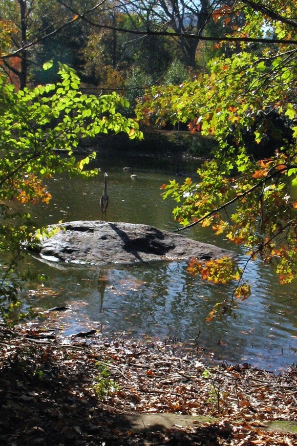 ny189