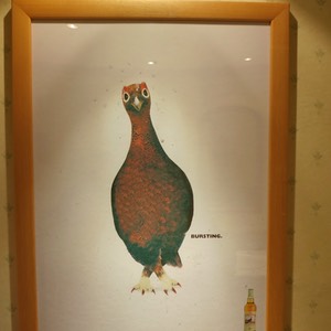 skottland 2012 -C1-123