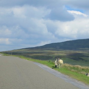 skottland 2012 -C1-216