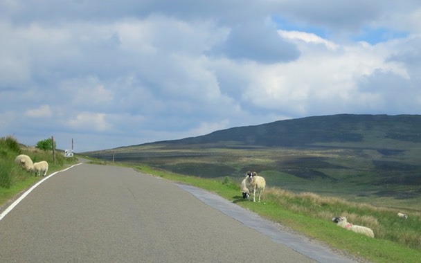 skottland 2012 -C1-216