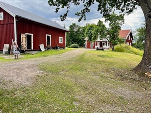 IMG_1011