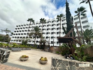IMG_2013.jpeg