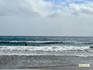 IMG_2033.jpeg