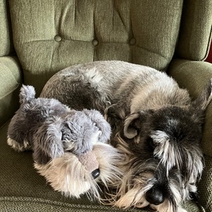 IMG_2860.jpeg