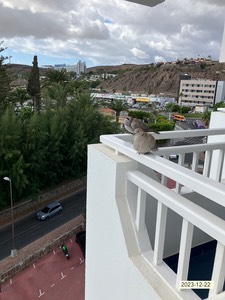 IMG_8361.jpeg