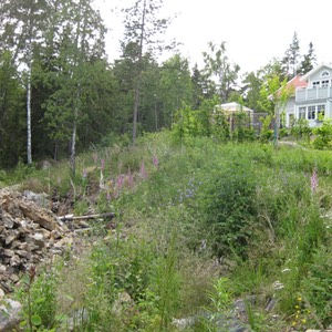 Kristinavgen juli 2009 10