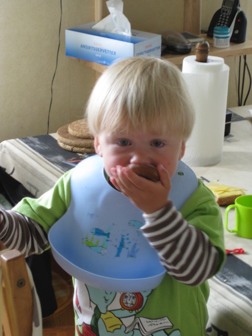 Loa Huddinge 2008 3