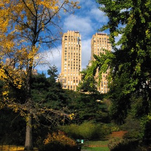 ny110