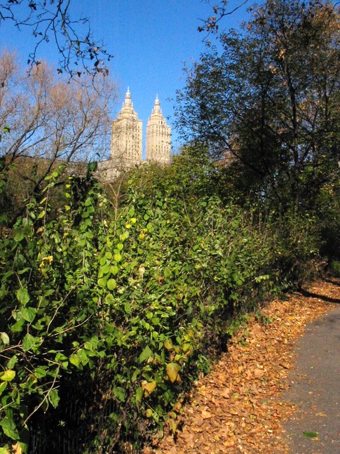 ny184