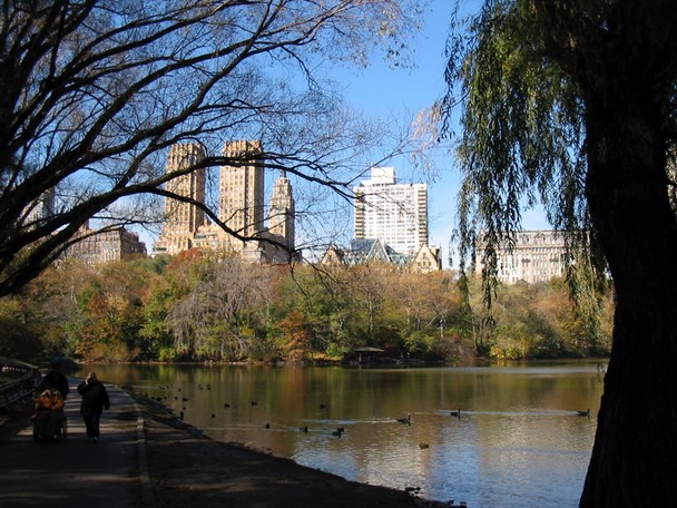 ny187