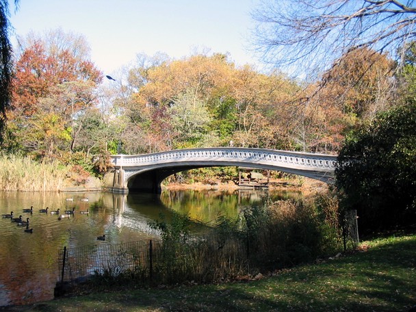 ny188