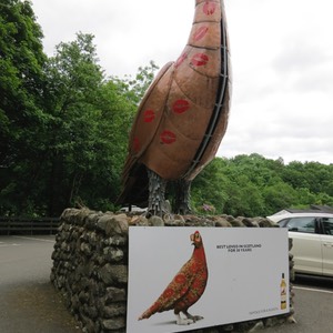 skottland 2012 -C1-107