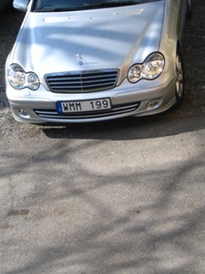 WMM199_1197.JPG